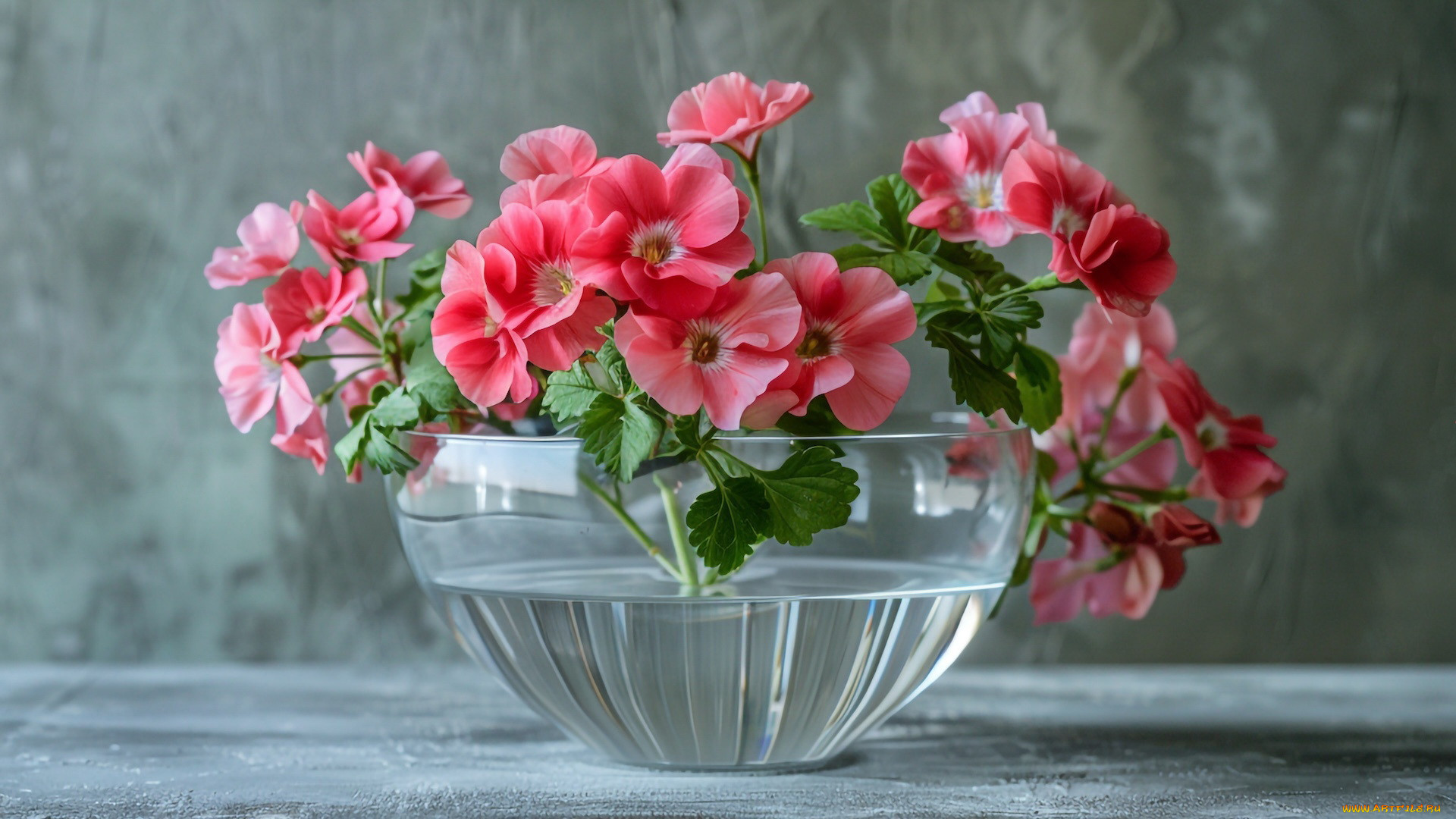 3 ,  , flowers, 